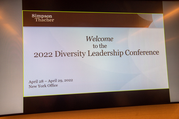 ST Diversity 2022-11